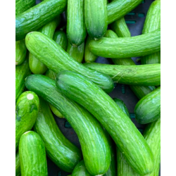 Cucumbers, SMALL ±500g